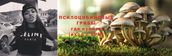 ГАЛЛЮЦИНОГЕННЫЕ ГРИБЫ Кулебаки
