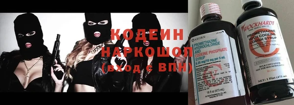 ГАЛЛЮЦИНОГЕННЫЕ ГРИБЫ Кулебаки