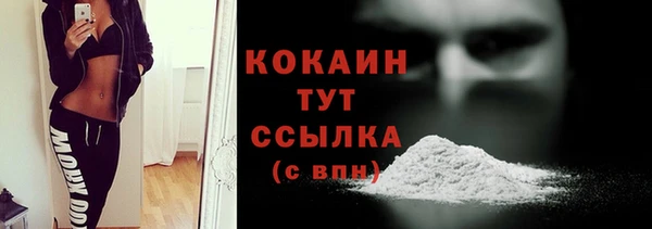 молекула духа Болхов