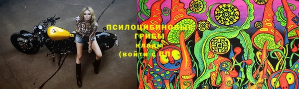 ГАЛЛЮЦИНОГЕННЫЕ ГРИБЫ Кулебаки