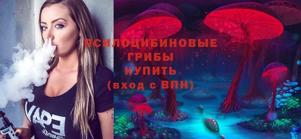 спиды Болохово