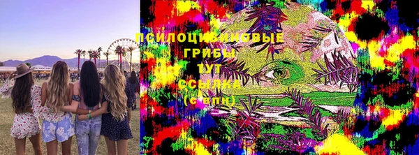 дмт Кукмор