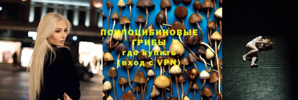 дмт Кукмор