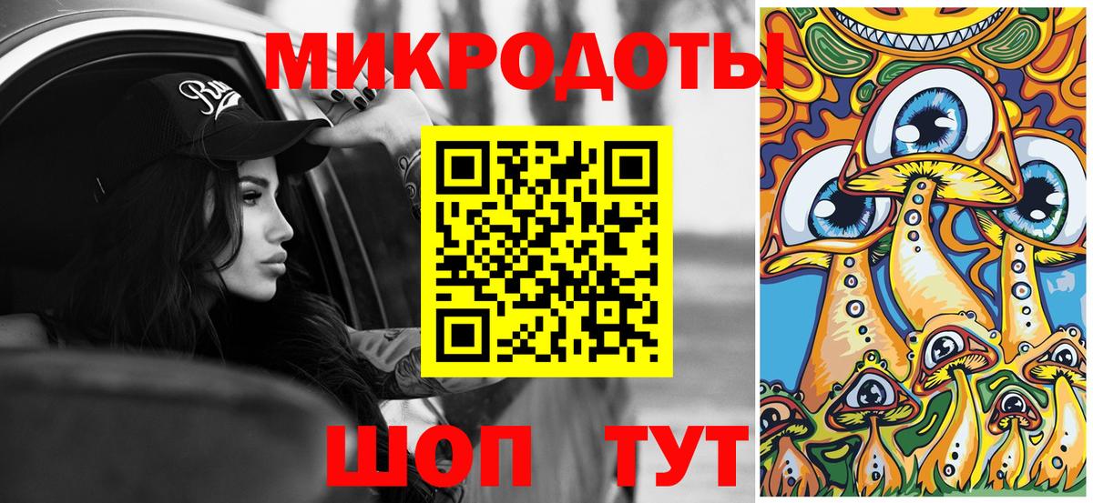 Галлюциногенные грибы Psilocybe Минусинск