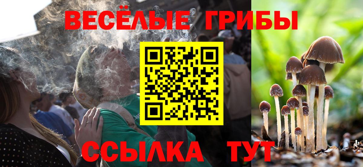 Галлюциногенные грибы Cubensis  Вход с VPN  Галлюциногенные грибы Cubensis  Минусинск 